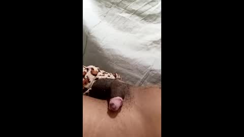 Snapshot of biel369737 chatting on 2, 3, 2026 biel369737 online show from 2, 3, 2026