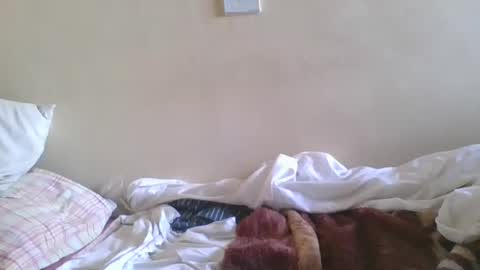 big_cockk_daddy online show from 15, 4, 2026