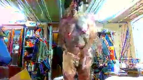 bigboy_604630544 online show from 28, 9, 2025