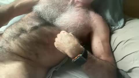 Snapshot of bigbush1 chatting on 17, 1, 2025 big bush online show from 17, 1, 2025