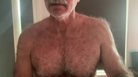 Snapshot of bigbush1 chatting on 19, 5, 2026 big bush online show from 19, 5, 2026
