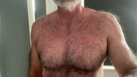Snapshot of bigbush1 chatting on 18, 6, 2026 big bush online show from 18, 6, 2026