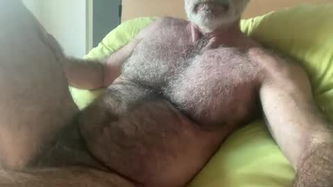 Snapshot of bigbush1 chatting on 27, 6, 2026 big bush online show from 27, 6, 2026