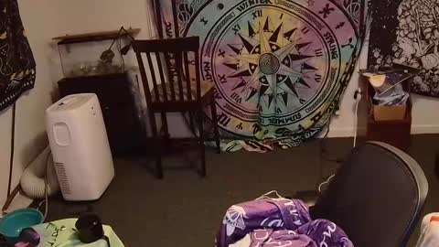 Snapshot of bigcocksmallmouth chatting on 23, 2, 2025 Cock and Cheese online show from 23, 2, 2025