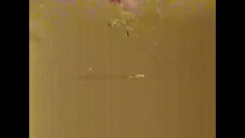 Snapshot of bigdaddydongarlets391292 chatting on 17, 10, 2025 bigdaddydongarlets391292 online show from 17, 10, 2025