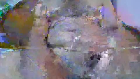 bigdaddysam95 online show from 24, 9, 2025