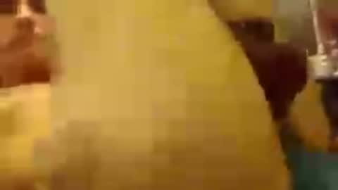 bigdickbandito3737 online show from 17, 7, 2026