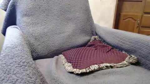 bigdickdaddy567130413 online show from 29, 12, 2024