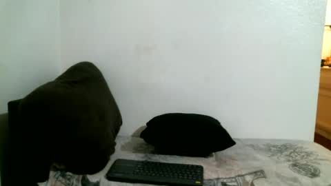 Snapshot of bigdickjimmywill chatting on 4, 7, 2026 CAJEinc online show from 4, 7, 2026
