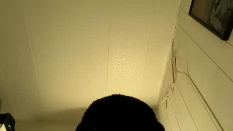 Snapshot of bigdickywn chatting on 5, 7, 2026 bigdickywn online show from 5, 7, 2026