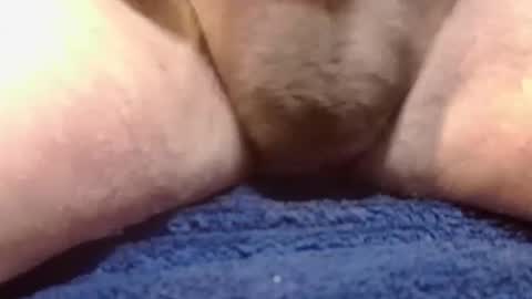 Snapshot of bigdoglog chatting on 10, 2, 2025 BigDog online show from 10, 2, 2025