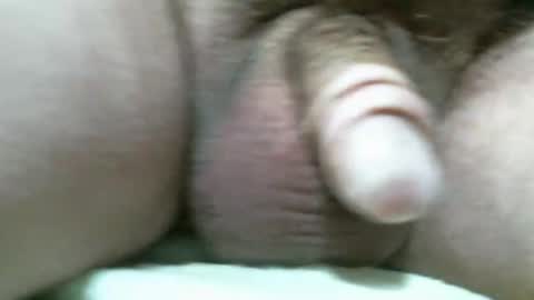 Snapshot of bigdoglog chatting on 11, 11, 2025 BigDog online show from 11, 11, 2025