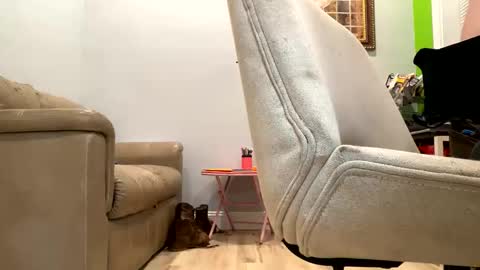 Snapshot of bigeddie88 chatting on 23, 9, 2025 bigeddie88 online show from 23, 9, 2025