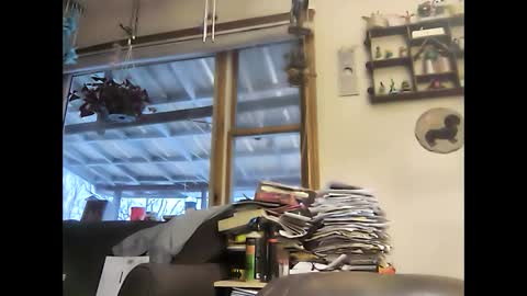 Snapshot of bigelectricrod chatting on 5, 1, 2025 bigelectricrod online show from 5, 1, 2025