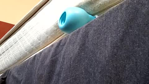 biggdaddyy5 online show from 21, 1, 2025