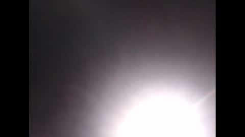 biggybudy online show from 16, 12, 2024