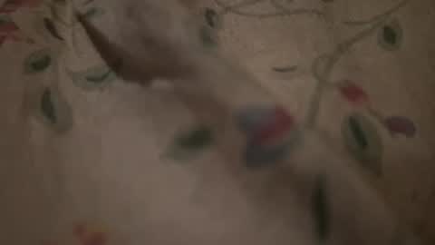 bigpoppadutch666 online show from 16, 1, 2026