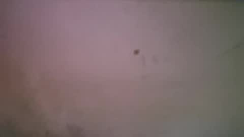 bigsssnake69 online show from 21, 4, 2026