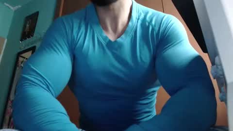 BigStallion online show from 5, 1, 2026