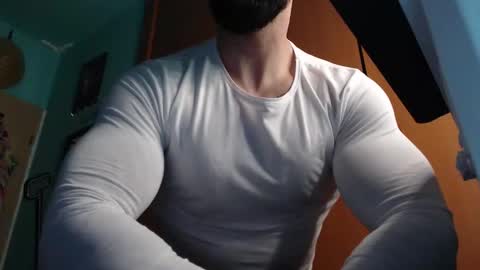 BigStallion online show from 13, 4, 2026