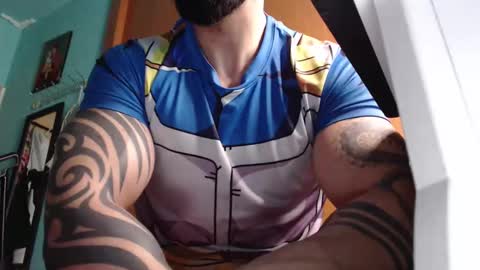 BigStallion online show from 20, 4, 2026