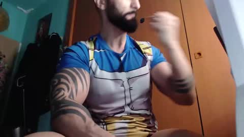 BigStallion online show from 28, 4, 2026