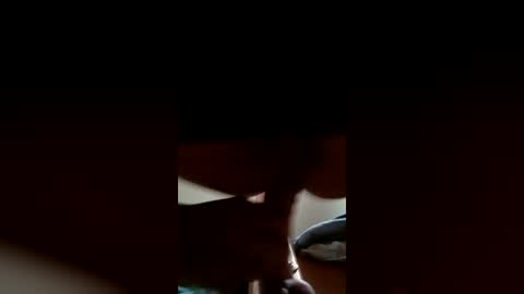 Snapshot of bigtsgagger11 chatting on 28, 6, 2026 DeePee online show from 28, 6, 2026