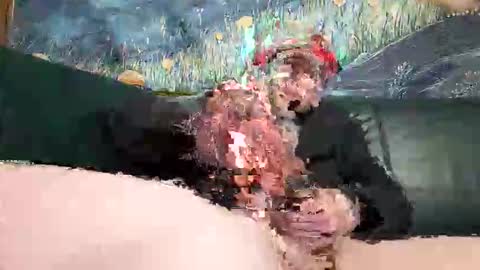 bigwytecock1979 online show from 19, 4, 2026