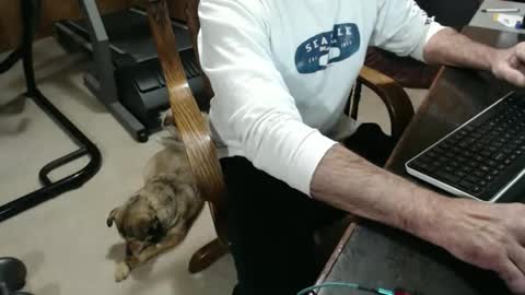 billy471 online show from 15, 3, 2026