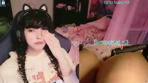 BimboCat online show from 1, 7, 2026