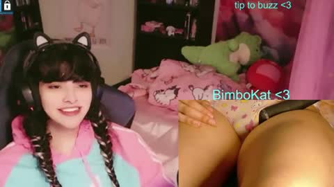 BimboCat online show from 7, 7, 2026