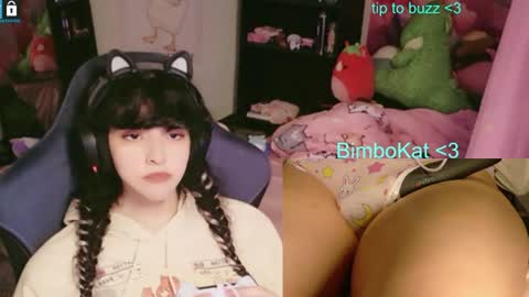 BimboCat online show from 10, 7, 2026