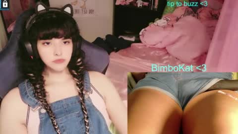 BimboCat online show from 31, 7, 2026