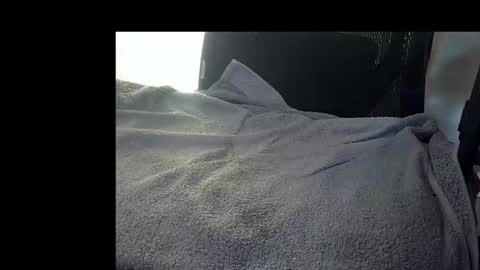 bislider online show from 12, 11, 2025