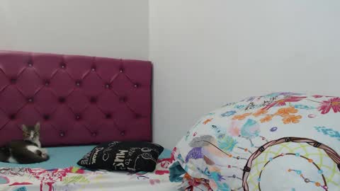 Snapshot of bitch_mommy_x chatting on 26, 1, 2025 I am everything. Your highness queen goddess mistress god daddy mommy boss master. you will address me as such online show from 26, 1, 2025