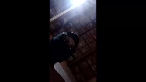 bittencourtgabriel online show from 22, 4, 2026