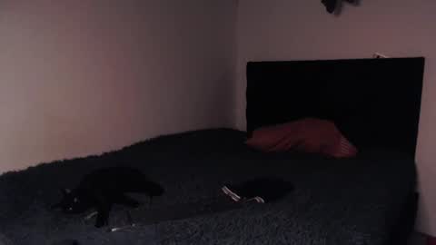 Snapshot of black_firex chatting on 8, 10, 2025 black_firex online show from 8, 10, 2025