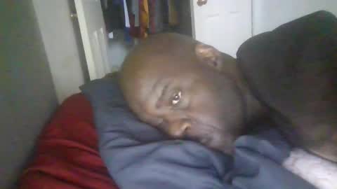 blackteddybear online show from 19, 1, 2026