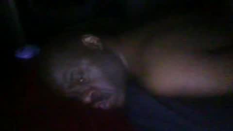 blackteddybear online show from 19, 2, 2026