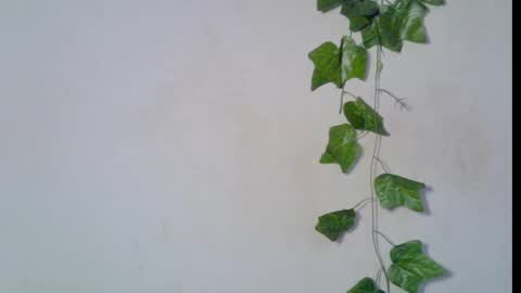 nikky00 online show from 8, 3, 2026