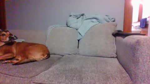 blaw_1321 online show from 5, 3, 2025