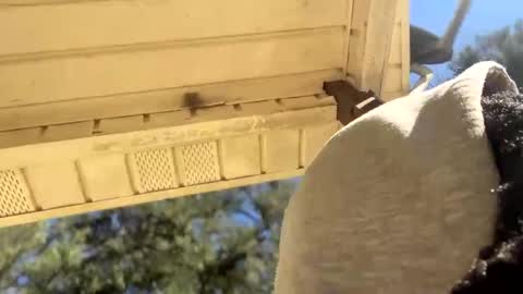 Snapshot of blaxkasta chatting on 4, 1, 2025 Black Clover online show from 4, 1, 2025