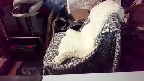 blindsurfer780299 online show from 15, 3, 2026