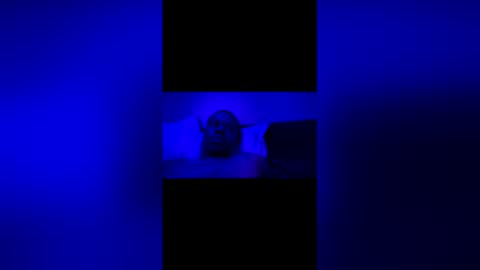 blkcoxk online show from 4, 4, 2026