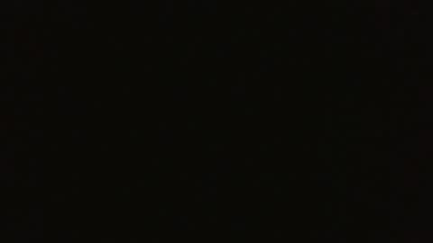 Bloom Petal online show from 9, 4, 2026