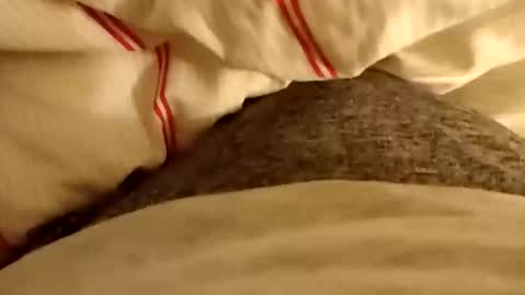 bluedolphinxx online show from 15, 3, 2026