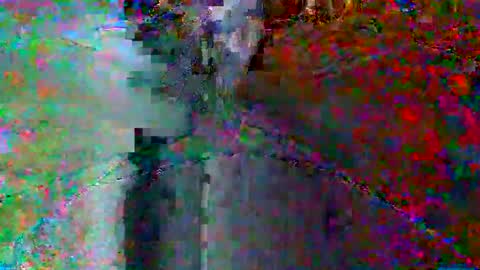 Snapshot of bluegum00 chatting on 8, 6, 2026 bluegum00 online show from 8, 6, 2026