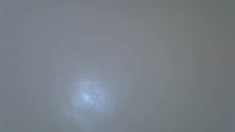 Bunny online show from 9, 2, 2026