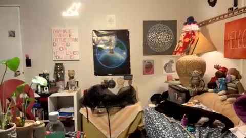 Snapshot of bobbyq2969 chatting on 13, 11, 2025 bobbyq2969 online show from 13, 11, 2025