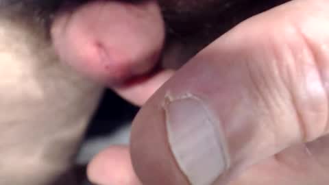 bobswan online show from 3, 3, 2026